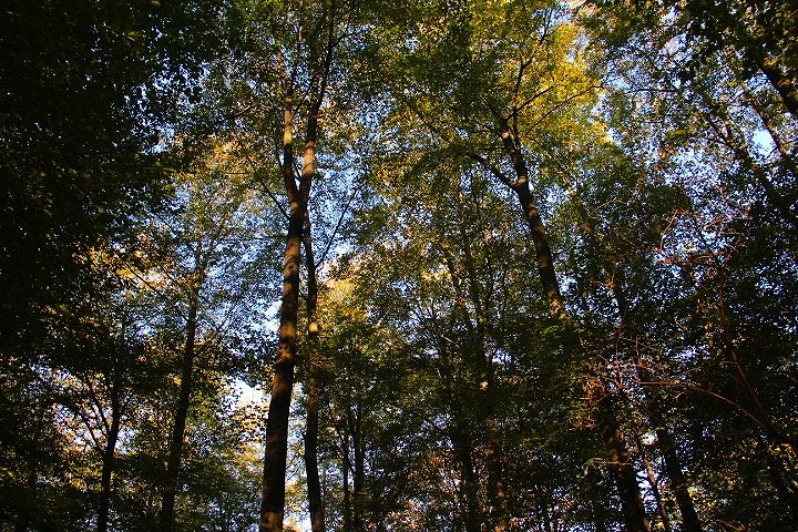 c0153740_1835468.jpg