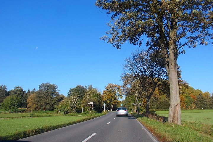 c0153740_1835529.jpg