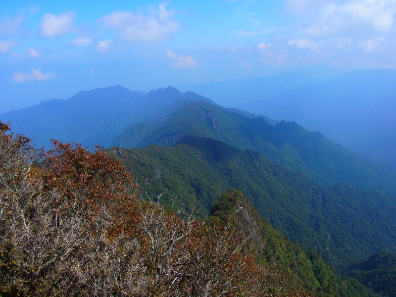 b0190242_18115514.jpg