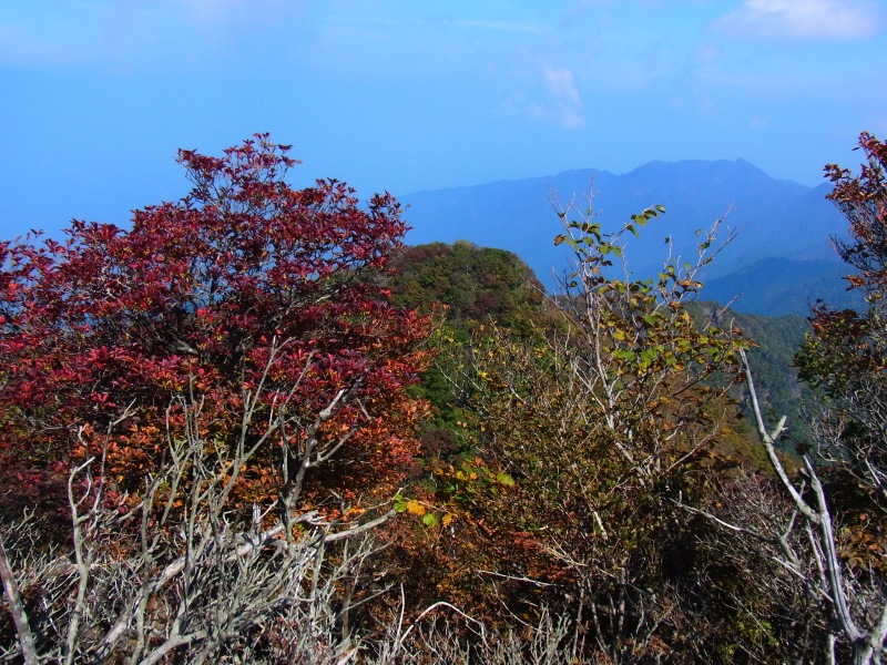 b0190242_1813344.jpg