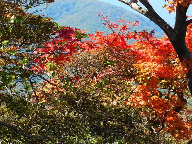 b0190242_18161563.jpg
