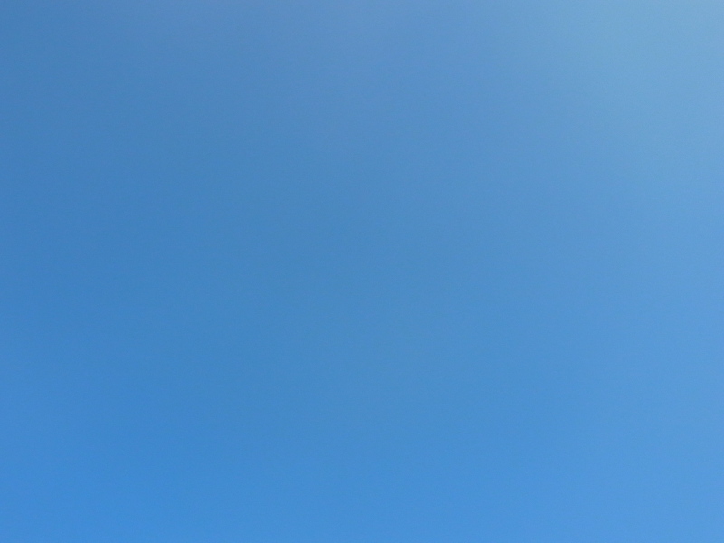 b0190242_18163848.jpg