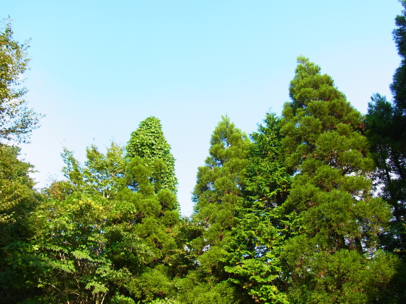 b0190242_18173116.jpg