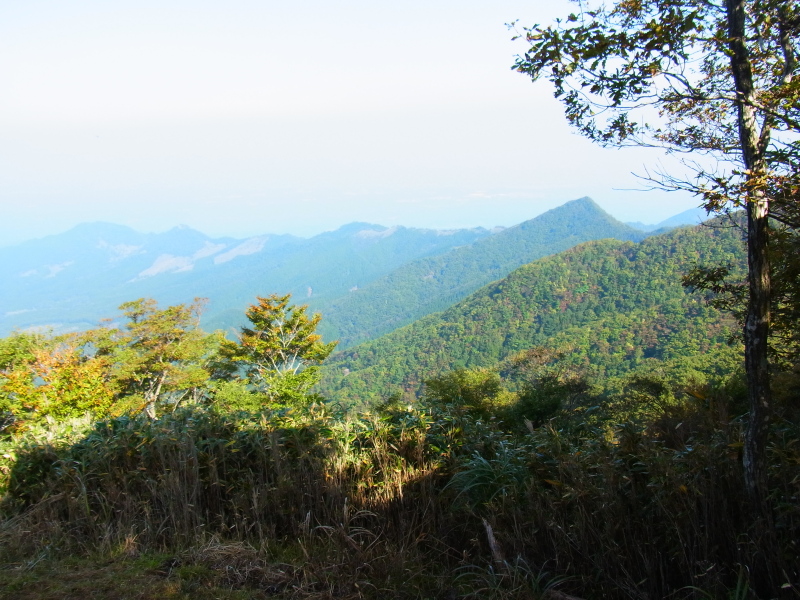 b0190242_182938.jpg