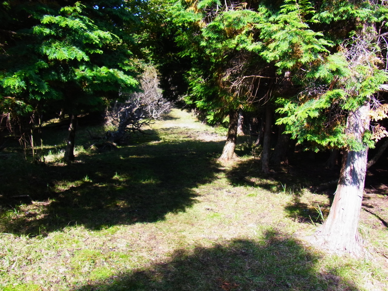 b0190242_1842869.jpg