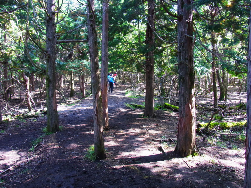 b0190242_1854280.jpg