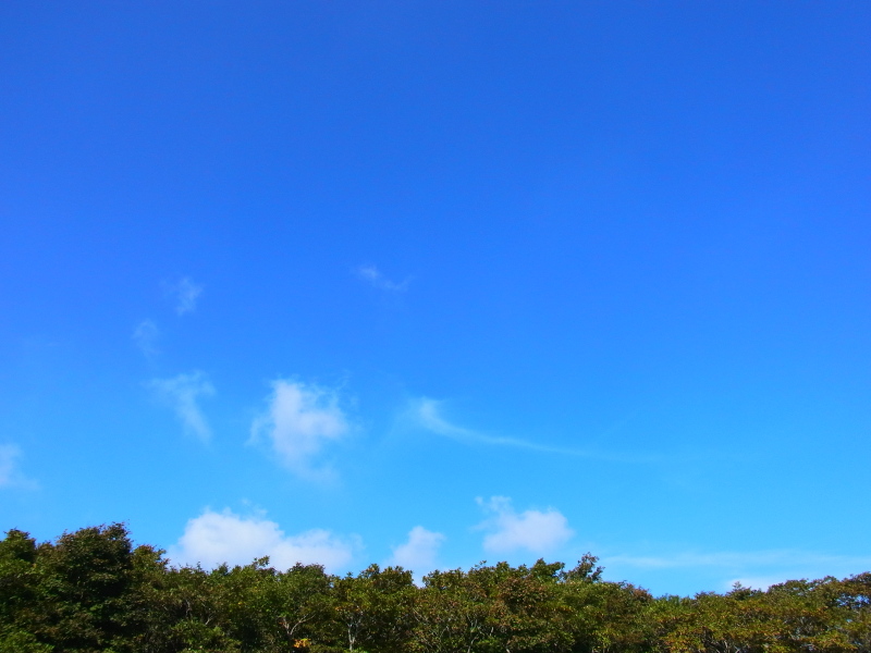 b0190242_187286.jpg