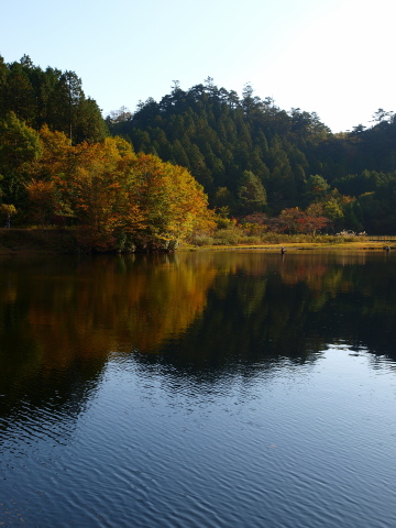 a0124947_20553093.jpg