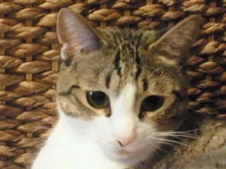 e0150849_22165684.jpg