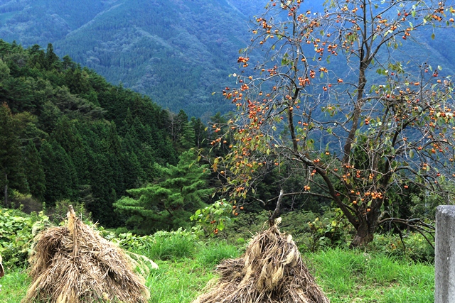 d0163550_2232719.jpg