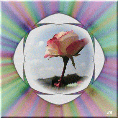 b0133752_18184115.gif