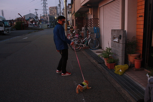 a0211756_0385225.jpg