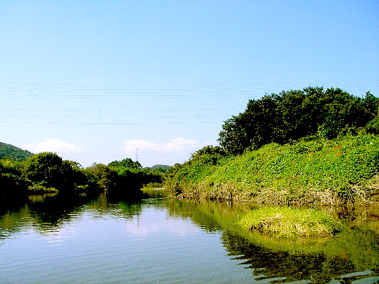 f0084561_14291474.jpg