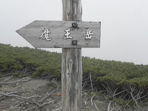 d0048366_15502315.jpg