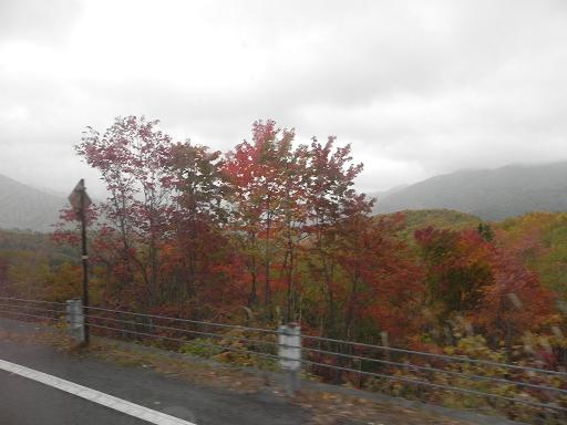 d0048366_1559543.jpg