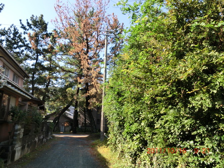 d0007071_621476.jpg
