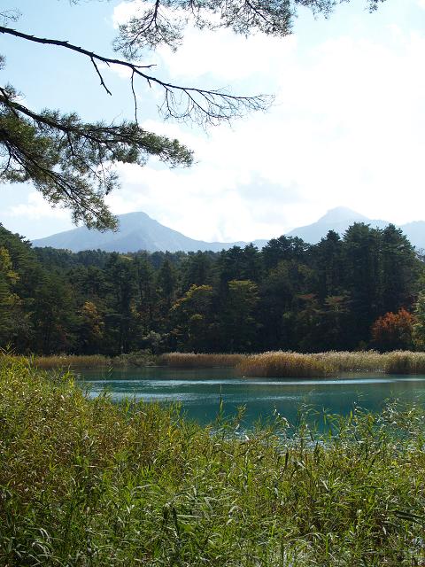 e0078071_15252357.jpg