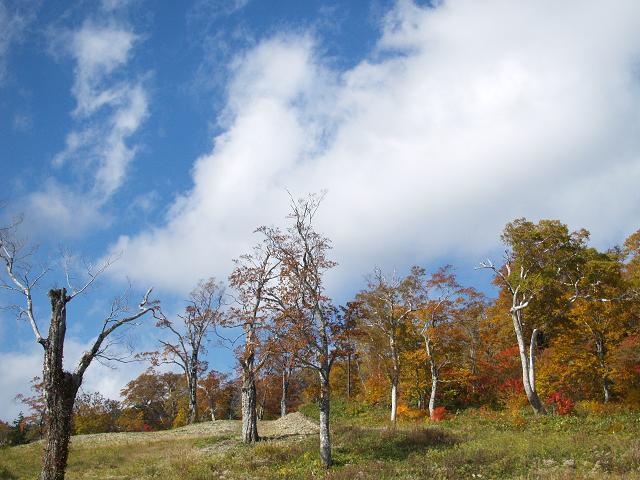 e0078071_1537177.jpg