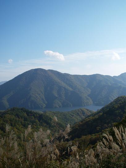 e0078071_15433557.jpg