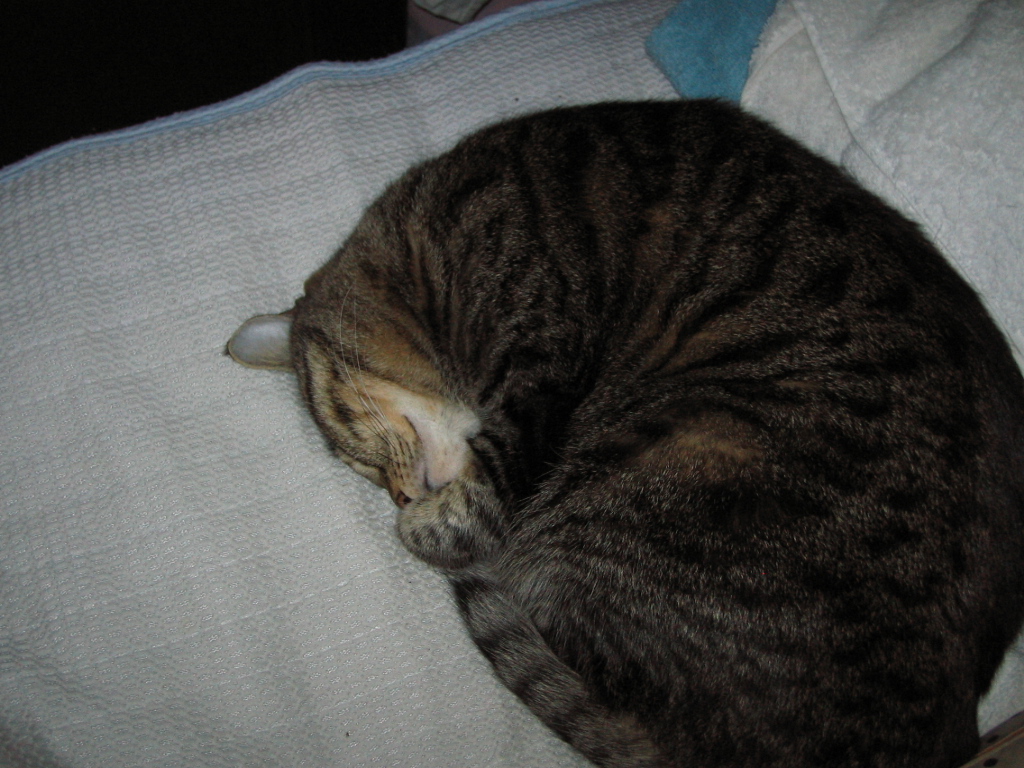 e0031572_21361270.jpg