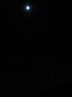 d0109373_14373349.jpg