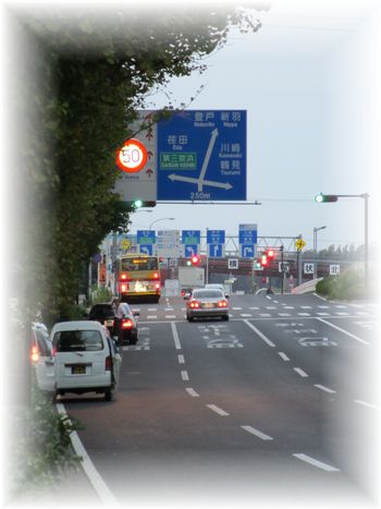 d0175974_17274725.jpg