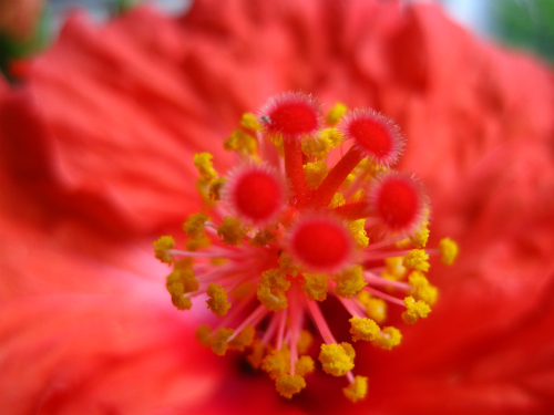 b0003280_22321459.jpg