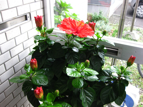b0003280_22394319.jpg
