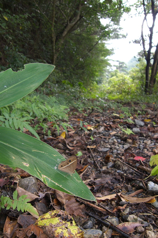 f0090680_2156950.jpg