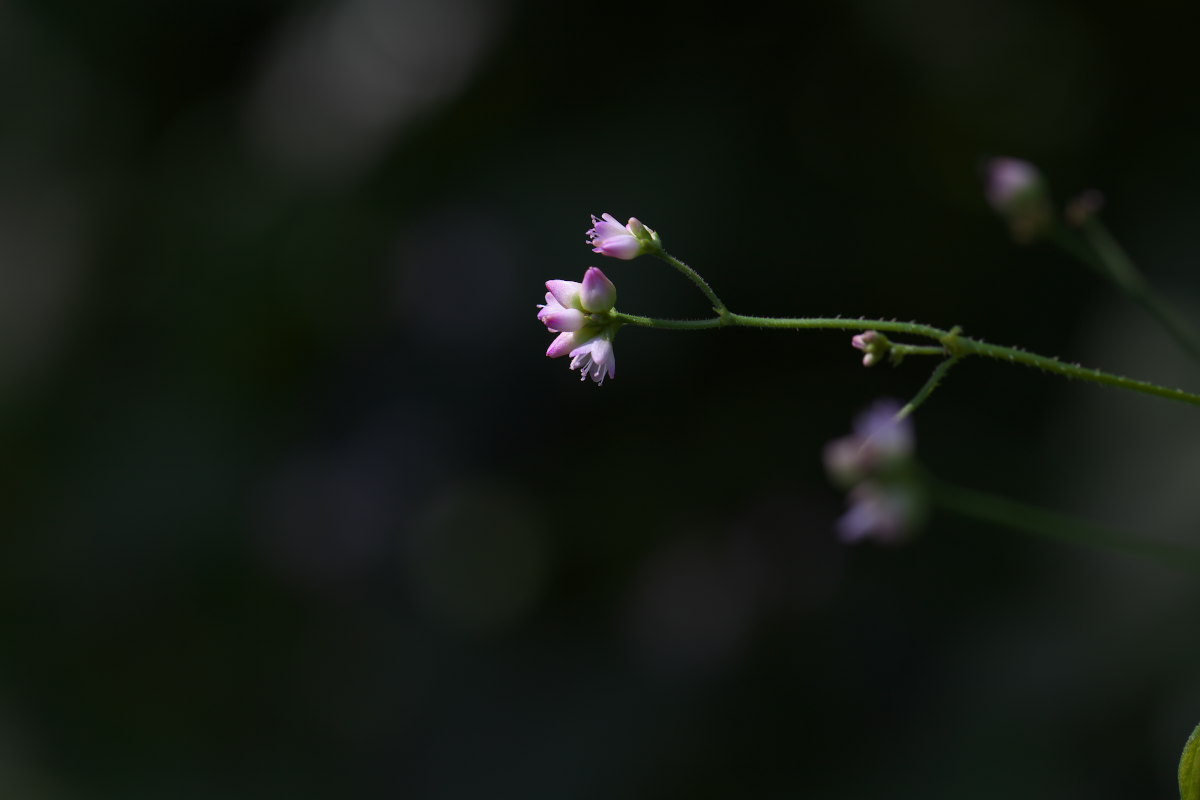 a0083081_17133675.jpg