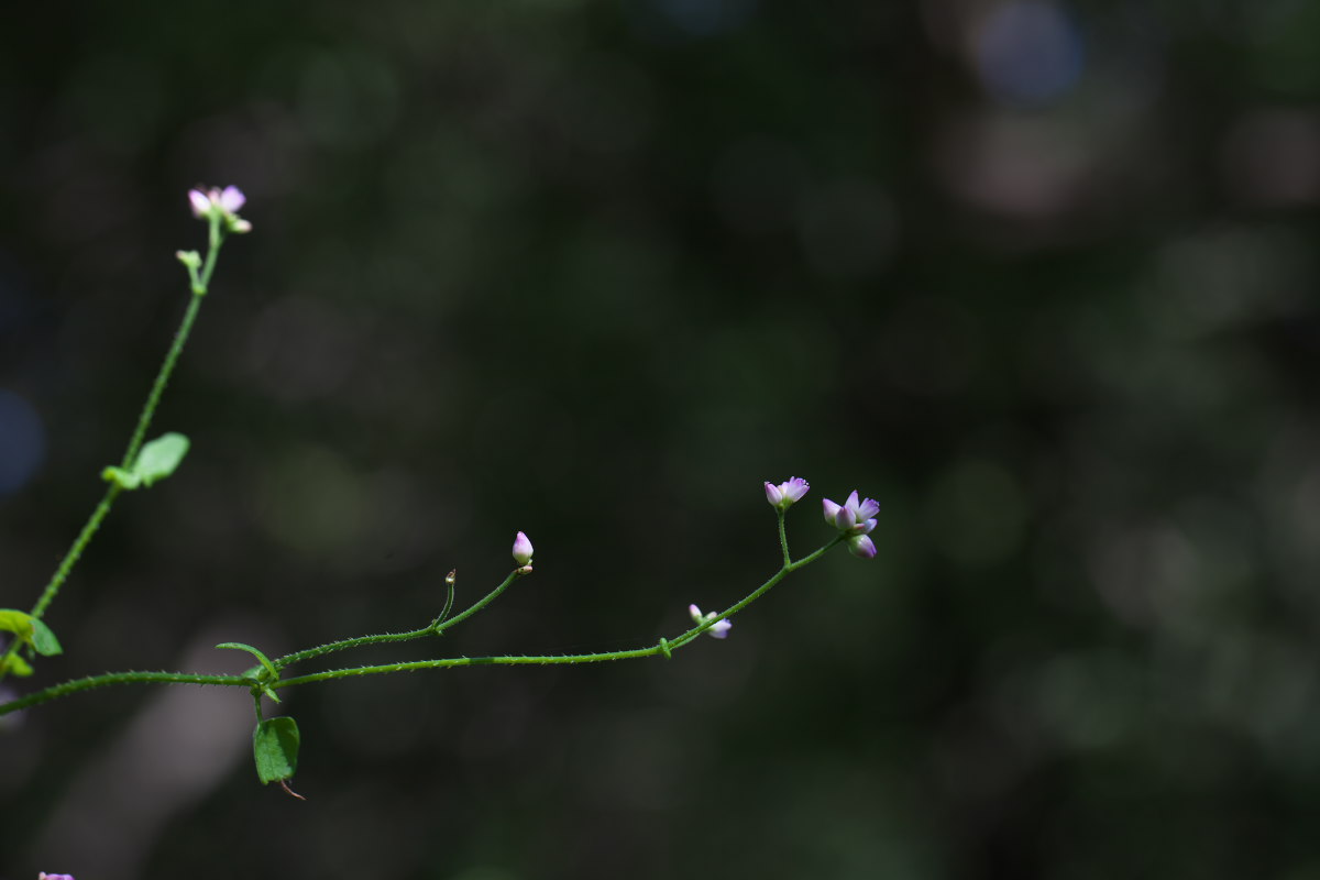 a0083081_17135735.jpg