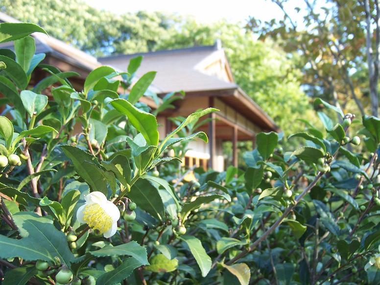 c0198781_0472673.jpg