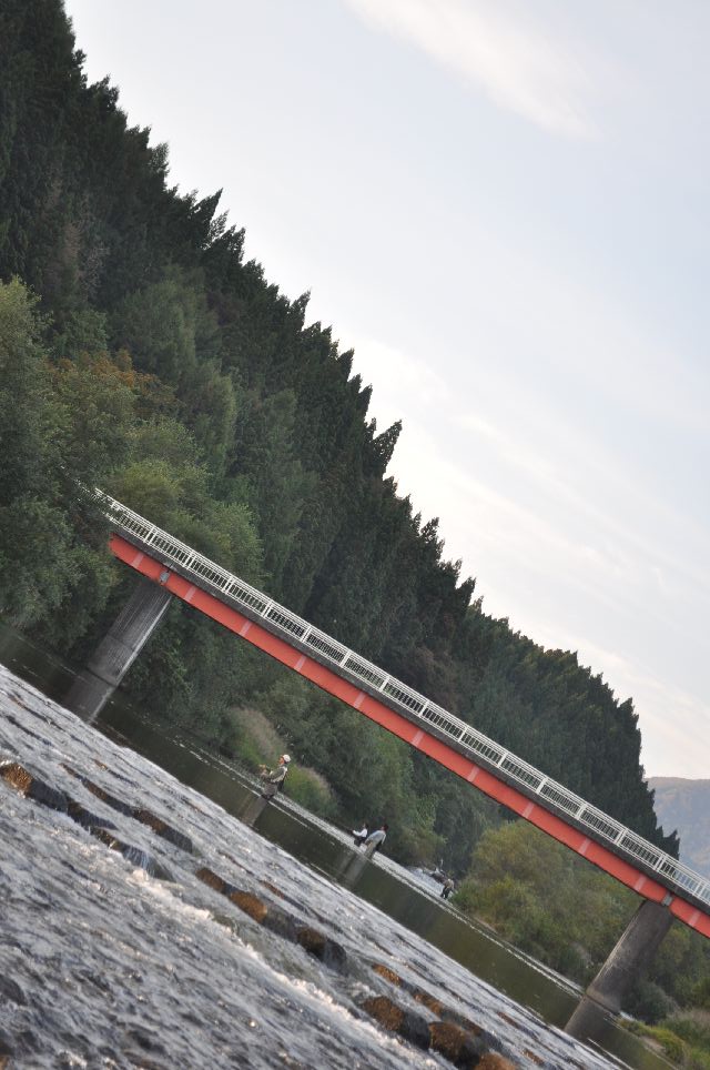 d0164783_15391337.jpg