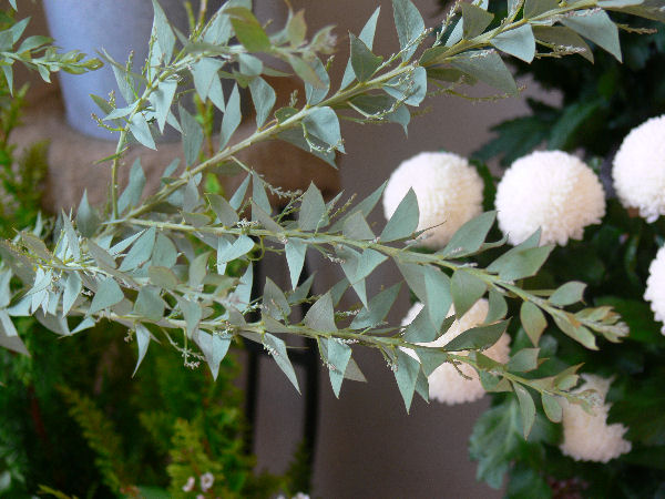 e0140986_1494989.jpg