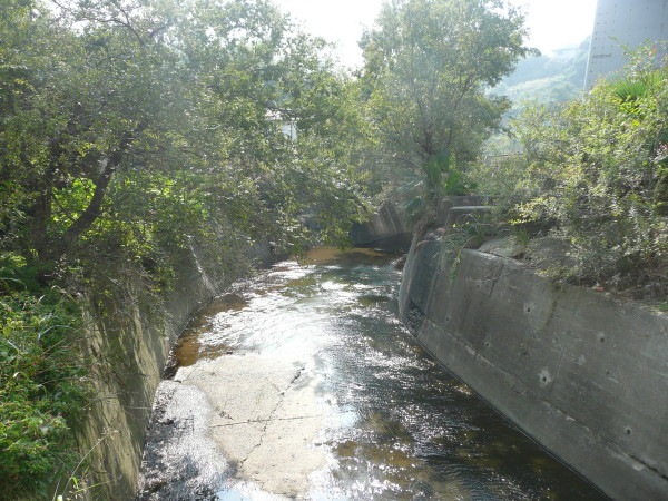 b0118987_164322.jpg