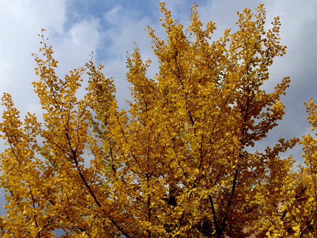 a0007388_133116.jpg