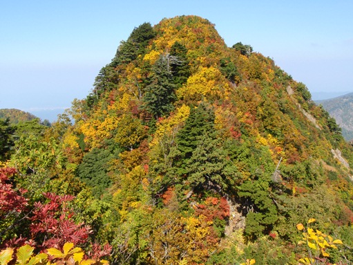 c0018489_2357578.jpg