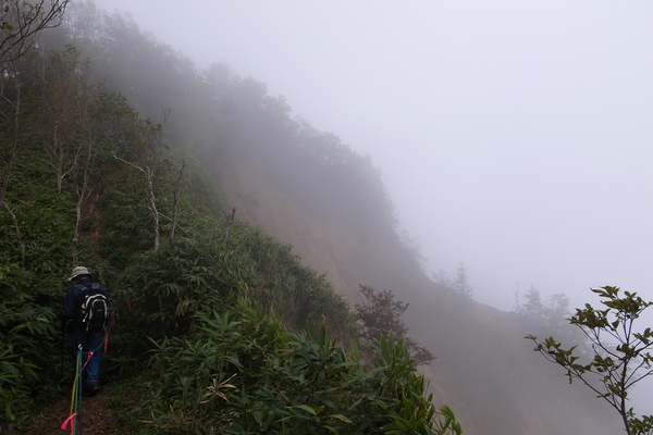c0190391_11484930.jpg