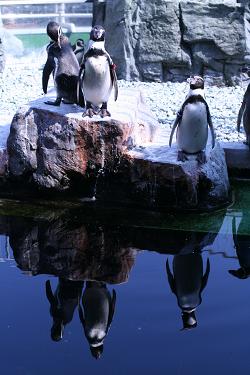 d0064399_21241050.jpg
