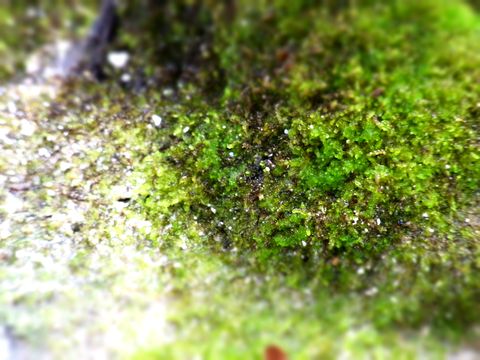 e0117805_20504363.jpg