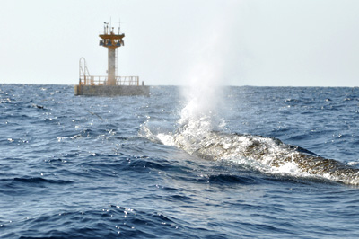 f0048405_1528154.jpg