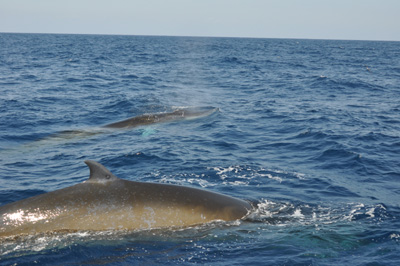 f0048405_156232.jpg