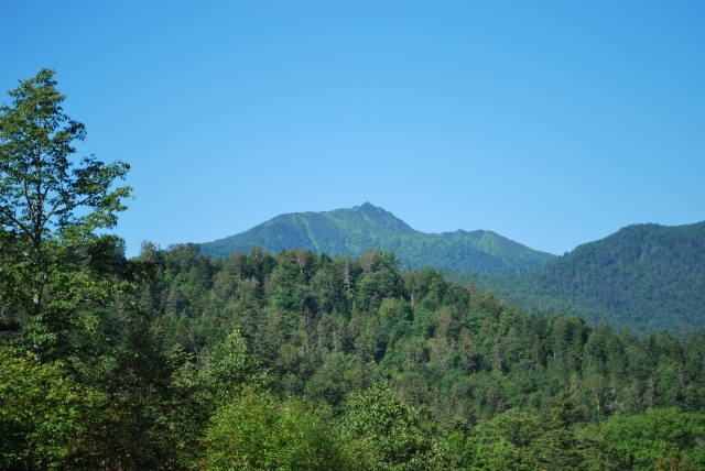 d0051707_2052893.jpg