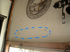 c0190010_2032105.jpg