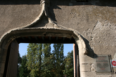 d0070113_17232032.jpg