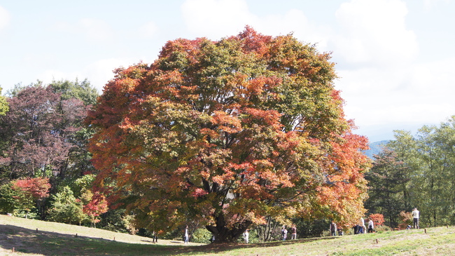 f0233414_2203477.jpg