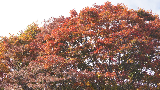 f0233414_2211999.jpg
