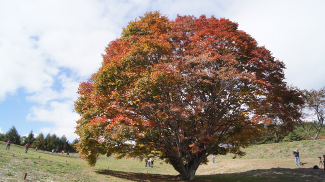f0233414_22163274.jpg