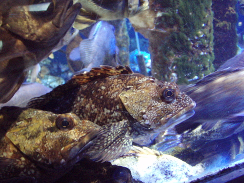 b0121015_1591540.jpg
