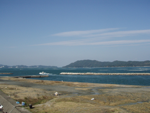 b0121015_21241286.jpg